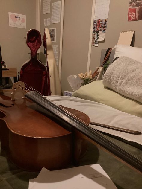 Violin Shop Aesthetic, Aesthetic Violin Pictures, Music Student Aesthetic, Violinist Aesthetic, Cello Aesthetic, Violin Performance Aesthetic, Classic Violin Aesthetic, Cello Art, Girl Playing Violin Aesthetic