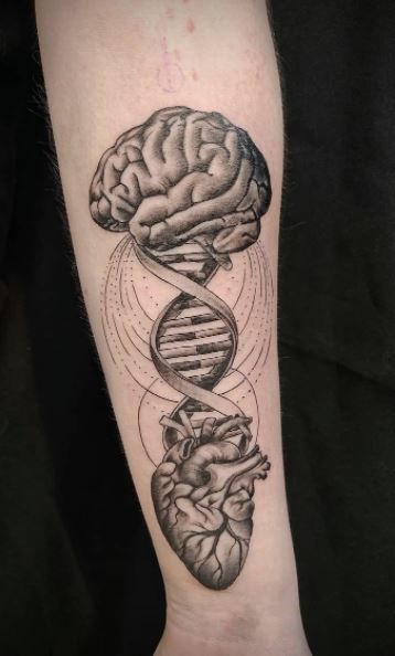 Chemical Tattoo, Psychology Tattoo, Evolution Tattoo, Science Tattoo, Science Tattoos, Spiderman Tattoo, Dna Tattoo, Butterfly Hand Tattoo, Bible Tattoos