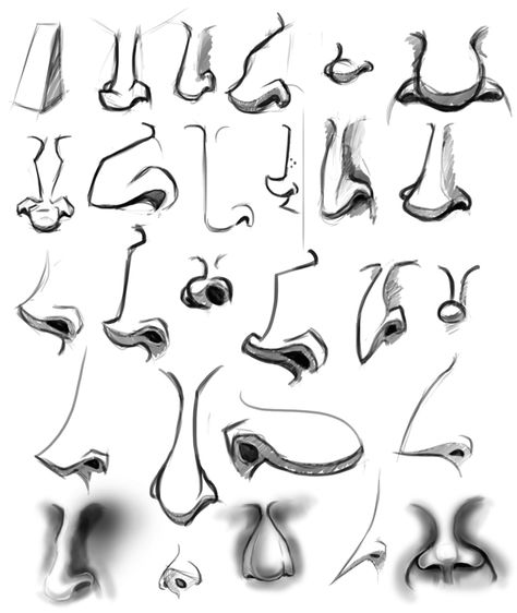 Just a few more from this week’s study on features. Was a bit hard this week because of a cold and working overtime. Talk about rough! I guess if i was feeling better i woulda done alot more. Illustration Nose, Cartoon Noses, رسم كاريكاتير, Caricature Sketch, Drawing Cartoon Faces, Nose Drawing, Caricature Drawing, Drawing Expressions, 캐릭터 드로잉