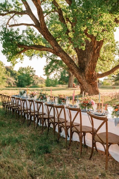 If you're looking for the best list of totally unique wedding ideas, this is it. We surveyed some of the top wedding pros to find out the most unique things they've seen at a wedding, like this peach orchard micro wedding reception. You'll definitely want to save this!  #uniqueweddingideas #microweddingideas #microweddingreception Garden Party Micro Wedding, Micro Wedding Aesthetic, How To Have A Micro Wedding, Planning A Micro Wedding, Microwedding Locations, Micro Wedding Reception, Big Sur Micro Wedding, Oregon Coast Micro Wedding, Outdoor Wedding Reception Decorations