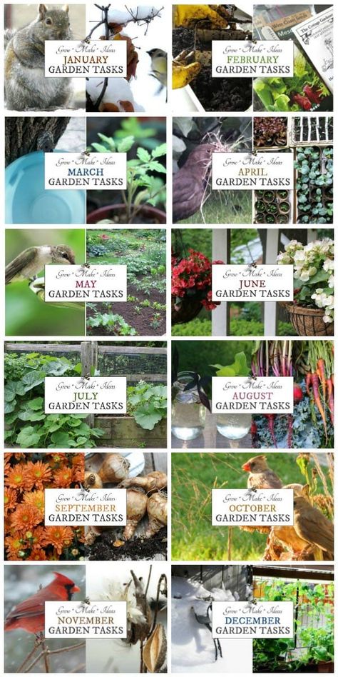 Gardening Month By Month, Gardening Calendar Uk, Garden Chores By Month, Monthly Gardening Schedule, Garden Schedule Calendar, Starter Garden Vegetables, Monthly Gardening Checklist, Garden Tasks By Month, Seattle Gardening Ideas