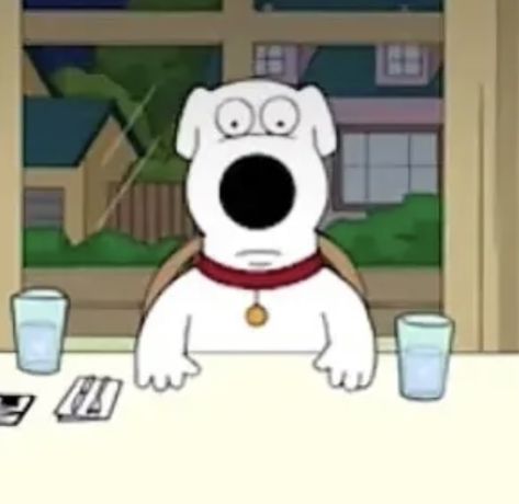 Bryan Family Guy, Umm Reaction Pictures, Brian Icons Family Guy, Family Guy Out Of Context, Brian Griffin Meme, Brain Griffin, Brian Griffin Icon, Family Guy Reaction Pics, Brian Griffin Pfp