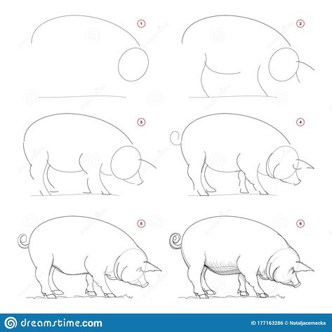 Pig Sketch Easy, Pig Drawing Step By Step, Pig Drawing Simple, Pig Drawing Easy, Pig Sketch, Pig Artwork, Pig Drawing, Pig Pictures, Pig Character