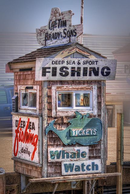 Get Your Tickets Here for Capt. Tim Brady & Sons Whale Wat… | Flickr Sea Sports, Fishing Shack, Beach Shack, Fish Market, Deep Sea Fishing, Sport Fishing, Fishing Villages, Whale Watching, Coastal Living