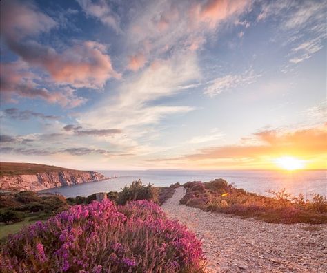 Although the Isle of Wight only consists of a mere 147 square miles in many ways it is England in miniature. Visitors are impressed by the beaches, the downs, the forests, the acres of pasture and, of course, the iconic Needles. The post 8 reasons to visit the Isle of Wight, UK appeared first on A Luxury Travel Blog. Carisbrooke Castle, Game Reserve South Africa, Silver Wall Art, Game Lodge, Silver Wall, Romantic Honeymoon, Game Reserve, In Season Produce, Sunset Sunrise