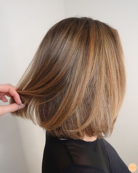 Short Hair Light Brown Highlights, Soft Balayage Short Hair, Soft Brown Hair Short, Honey Highlights On Dirty Blonde Hair, Light Brown Hair With Highlights Caramel Honey Brunettes Curly, Soft Blonde Hair Balayage, Short Honey Hair, Honey Short Hair, Short Light Brown Hair With Highlights