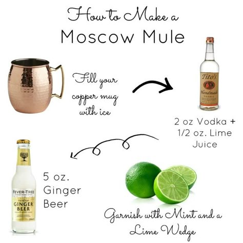 Step by Step Tutorial on How to make the perfect classic moscow mule! An easy last minute cocktail for your dinner guests! Moscow Mule Recipe Classic, Moscow Mule Drink Recipes, Moscow Mule Drink, Bartender Recipes, Mule Drink, Bartender Drinks Recipes, Breakfast Cocktails, Alcohol Beverages, Moscow Mule Recipe