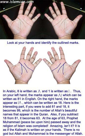 Amazing marks on your hand Islamic Miracles, Islam Science, Miracles Of Quran, Poor Child, Islam And Science, Ayat Quran, Coran Islam, Islam Hadith, Islam Religion