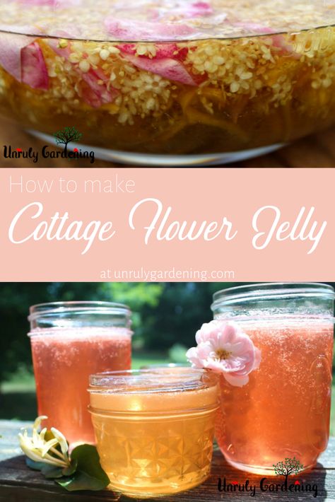 Honeysuckle Jelly, Floral Jelly, Flower Jelly, Edible Flowers Recipes, Home Canning Recipes, Foraging Recipes, Jam Recipes Homemade, Canning Jam, Canning Food Preservation