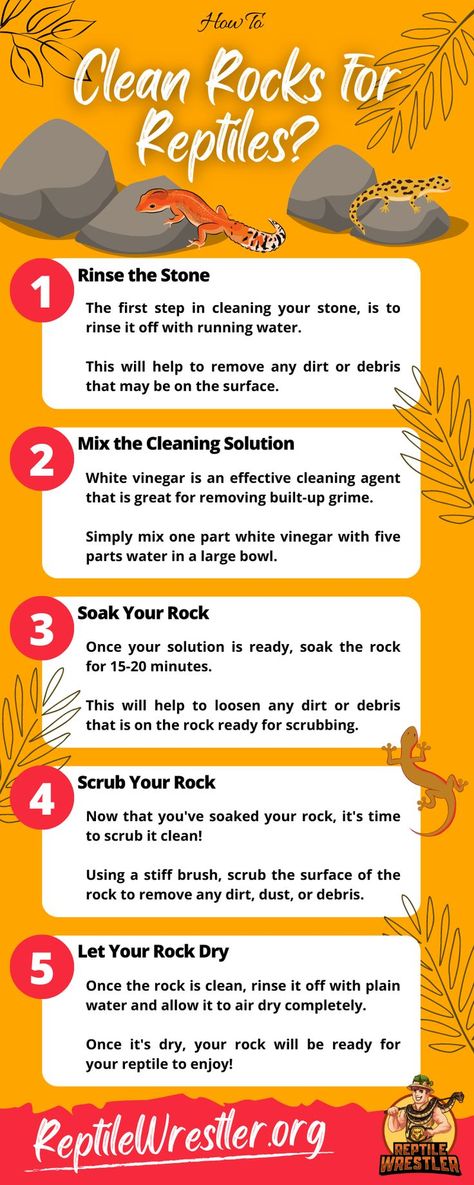 How to Clean Rocks for Reptiles Infographic Diy Terrarium Reptile, Reptile Diy, Spotted Gecko, Diy Terrariums, Leopard Gecko Habitat, Diy Reptile, Gecko Habitat, Pet Snakes, Vinegar Cleaner