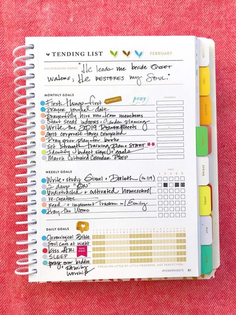 Powersheets Goals, February Goals, Financial Budget Planner, Lara Casey, Daily Schedules, Emily Ley, Planner Writing, Instagram Planner, Budget Planner Template