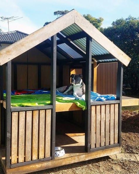 Outdoor Dog Area, Backyard Dog Area, Luxury Dog House, Dog Friendly Backyard, Pallet Dog House, Dog Backyard, Dog Kennel Designs, Diy Dog Kennel, Large Dog House