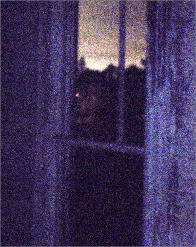 "The ghost in the window" Ghost In Window, Paranormal Photos, The Spectre, Creepy Ghost, Creepy Photos, Real Ghosts, Creepy Pictures, Paranormal Activity, Ghost Photos