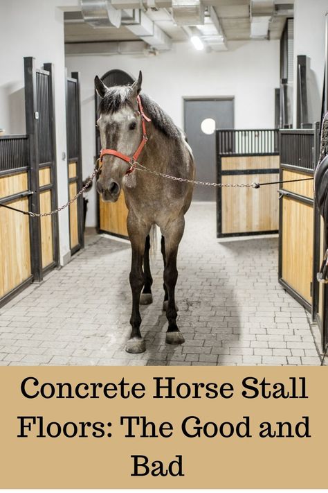 The advantages and disadvantages of concrete horse stalls.#horse stalls,#concrete,#concrete floors,#stall floors,#horses, Horse Stall Flooring, Horse Wash Stall, Stall Flooring For Horses, Horse Stall Floor, Horse Stall Footing, Concrete Horse Stalls, Horse Stall Mats Gym, Horse Arena With Stalls, Horse Feed Room