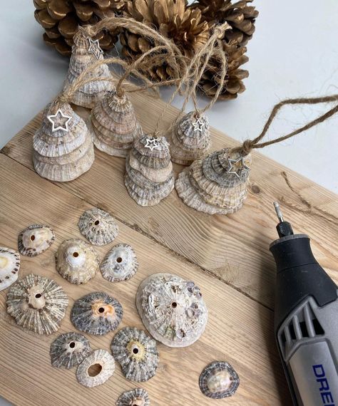 Limpet Shell Art, Limpet Shell Crafts, Home Made Christmas Tree, Sea Mandala, Seashell Tree, Seashell Christmas Tree, Shell Christmas Tree, Beach Christmas Tree, Driftwood Tree