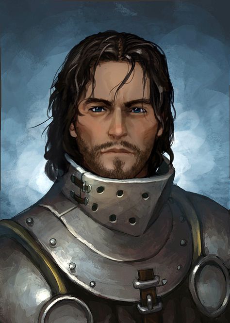 Pillars of Eternity Paladin Human Paladin Male, Human Paladin, Pillars Of Eternity, Portrait Male, Plate Armor, Heroic Fantasy, Character Portrait, Fantasy Portraits, Human Male