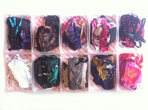 Lingerie Organization, Lingerie Storage, Skirt Hangers, How To Store, Store Organization, Functional Storage, Luxury Lingerie, Accessory Organization, Storage Items