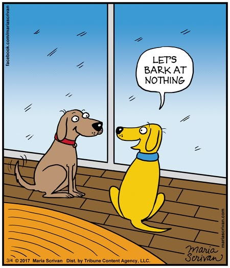 Half Full by Maria Scrivan for Mar 4, 2017 | Read Comic Strips at GoComics.com Dog Funnies, Dog Cartoons, Pet Humor, Dog Comics, Animal Funnies, Dog Jokes, Dog Humor, Funny Dog Memes, Animal Humor