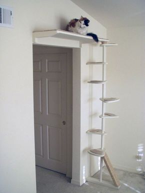 Katt Diy, Katt Grejer, Cat Patio, Diy Cat Tree, Cat Wall Furniture, Cat House Diy, Furniture Cleaner, Cats Diy Projects, Cat Hacks