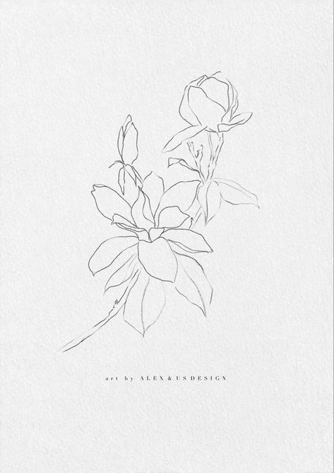 Flower Line Sketch, Vintage Botanical Sketch, Star Magnolia Tattoo, Magnolia Vine Tattoo, Gardinia Tattoo Simple, Simple Magnolia Drawing, Chinese Floral Tattoo, Magnolia Sketch Drawings, Magnolia Flower Illustration