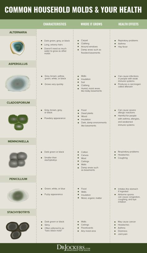 Black Mold: Indoor Air and Health Effects - DrJockers.com Mold Allergy Symptoms, Mold Toxicity, Mold Allergy, Mold Exposure, Toxic Mold, Types Of Mold, Asthma Symptoms, Mold Growth, Allergy Symptoms