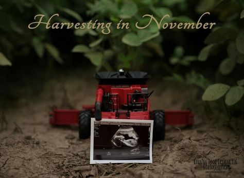 Farm Pregnancy Announcement, Country Babies, Country Maternity, Expecting Announcement, Pregnancy Husband, Country Baby Names, Pregnancy Announcement Sibling, Baby Announcement To Husband, Announcement Photoshoot