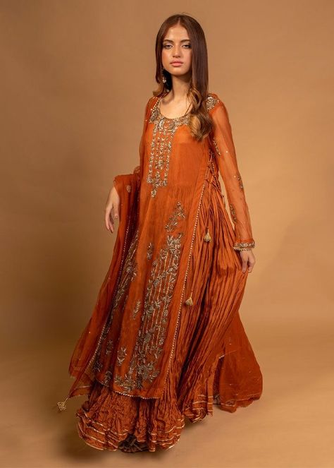 Embroided Net Dresses, Crushed Silk Dress, Burnt Orange Pakistani Outfit, Net Sleeves Designs For Dresses, Crushed Fabric Dress, Silk Dress Design, Desi Dress, Zardozi Work, Velvet Dress Designs