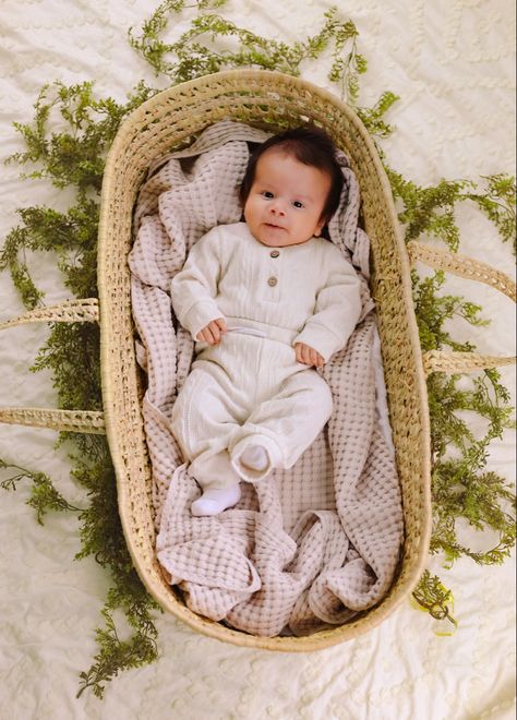 Three month old baby. Moses basket Three Months Baby Photography, Moses Basket Photography, Three Month Baby, Basket Photography, Three Month Old Baby, Baby Basket, Baby Moses, 3 Month Old, 3 Month Old Baby