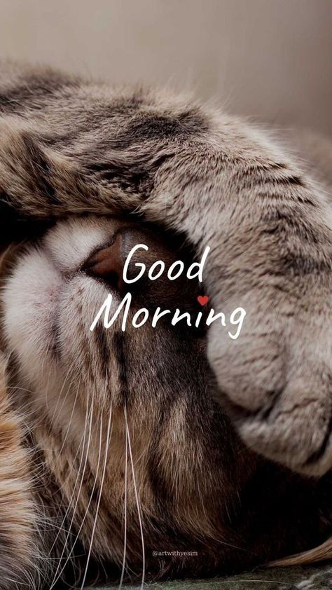 Aesthetic Good Morning Quotes, Good Morning Aesthetic Quotes, Goodmorning Cute Images Aesthetic, Morning Cats Funny, Good Morning Kitty, Goodmorning Cute, Quotes For Your Partner, Morning Coffee Aesthetic, Goog Morning