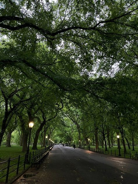 Riverside Park Nyc, City Park Aesthetic, Central Park Summer, New York Nature, Picnic In Central Park, Central Park Aesthetic, Park Swings, Drawing Backgrounds, Nyc Central Park