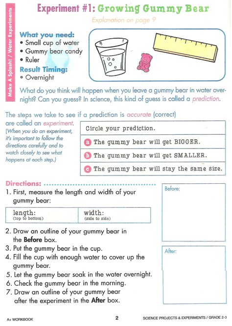 Gummy Bear Experiment For Kids, Gummy Bear Experiment Scientific Method, Gummy Bear Science Fair Project, Gummy Bear Science Experiment, Gummy Bear Science Project, Gummy Bear Experiment, 5th Grade Science Projects, Kids Science Fair Projects, Science Fair Experiments