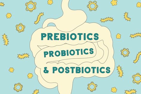 Pre Pro Post Biotics, Post Biotics, Pre Biotics, Pro Biotics, Dr Gundry Recipes, Gundry Recipes, Dr Gundry, Branding Campaign, Prebiotic Foods