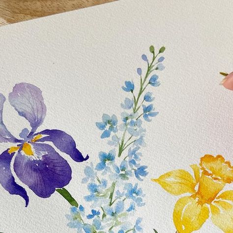 Larkspur Flower Painting, How To Paint Iris Flowers, Delphinium Flower Watercolor, Watercolor Delphinium, Iris Flowers Drawing, Larkspur Watercolor, Delphinium Painting, Birth Flower Painting, Daffodil Watercolor