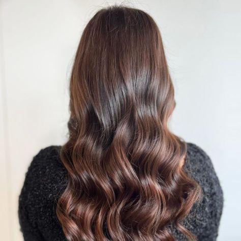 French Glossing Hair, Glossing Hair, Bronze Hair, Colour Ideas, The Roots, Hair Colour, Highlights, Hair Color, Long Hair Styles