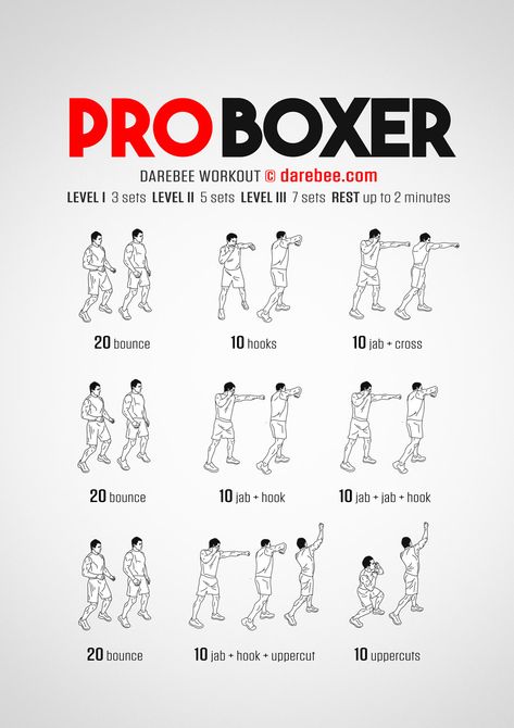 Pro Boxer Workout Darebee Boxing, Yor Forger Workout, Learning Boxing, Shadowboxing Workout, Boxing Exercises, Boxing Moves, Shadow Boxing Workout, Boxing Tips, Darebee Workout