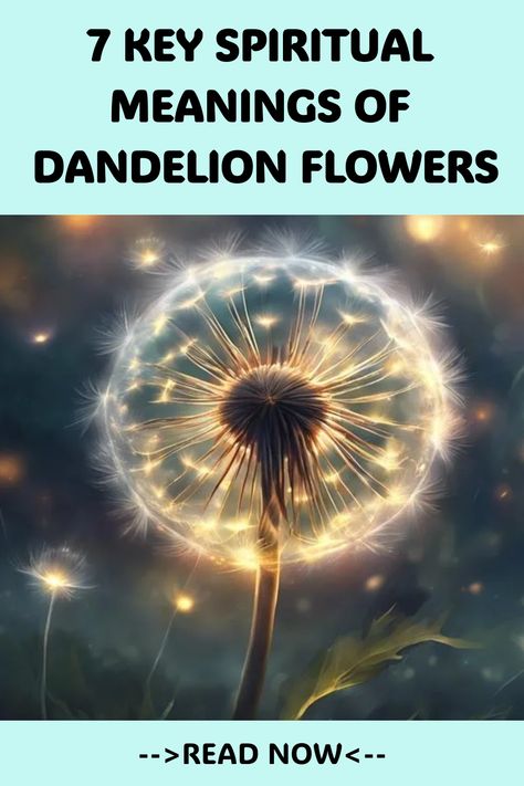 Explore the 7 hidden spiritual meanings of dandelions and uncover the profound impact they can have on your journey. Dandelion Flower Meaning, Meaning Of Dandelion, Dandelion Meaning, Dandelion Meaning Witchcraft, Dandelion Spiritual Meaning, Dandelion Properties, Dandelion Facts, Holistic Therapy, Night Meaning