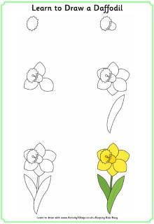 Comment une fleur, une jonquille Learn To Draw Flowers, Art Principles, Drawing Lessons For Kids, Drawing Tutorials For Kids, 수채화 그림, Plant Drawing, Drawing Lessons, Step By Step Drawing, Doodle Drawings