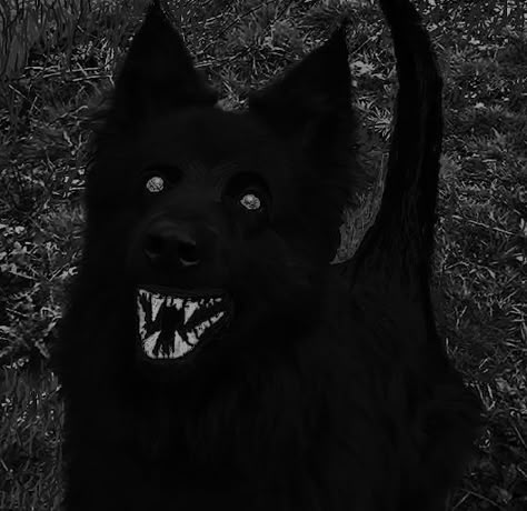 Black dog or a evil dog or is it something else A black dog always strolling behind a person with vague personality, it would not react to others patting or eat anything Black Animals Aesthetic, Anime Dog Aesthetic, Black Dogs Aesthetic, Werewolf Core, Starflesh Core, Scary Dog, Dog Poetry, Big Dogs Breeds, Biggest Dog In The World