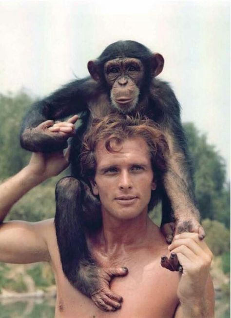 TARZAN RON ELY IN LANE on Pinterest | Ely, Tarzan and Cheetahs Tarzan Actors, Ron Ely, Tarzan Movie, Edgar Rice Burroughs, Young Celebrities, Cartoon Network Adventure Time, Adventure Time Anime, Hair Color Blue, Retro Tv