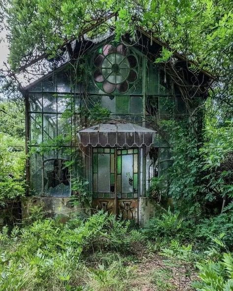 Beautiful Greenhouse, Abandoned Places, Trees, Plants, On Instagram, Instagram