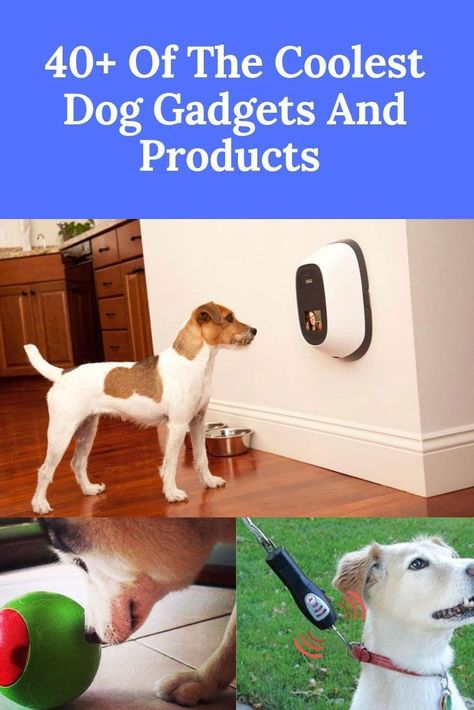 Dog Supplies - Find thousands of brands and great products, all catered for the modern shopper like YOU. Check It Out Now! Cool Dog Products, Dog Gadgets Products, Pet Gadgets Products, Best Dog Accessories, Dog Must Haves Products, Best Dog Products, Puppy Gadgets, Amazon Dog Must Haves, Puppy Binder