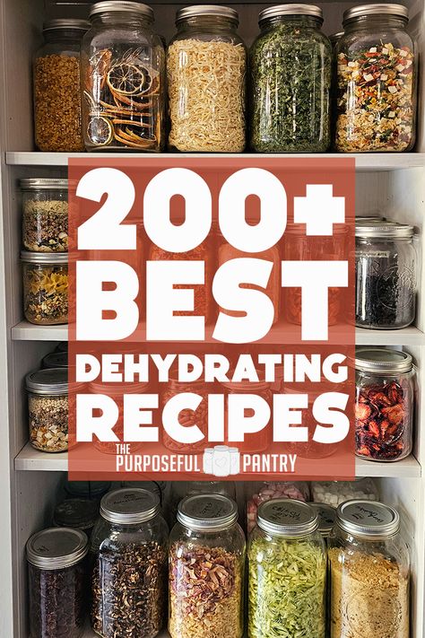 Pantry shelves of dehydrated produce in canning jars. Dehydrator Recipes Fruit, Dehydrating Recipes, Best Food Dehydrator, Dehydrating Food Storage, Dehydrate Potatoes, Food Dehydration, Potatoes Tomatoes, Stock Your Pantry, Dehydrated Vegetables