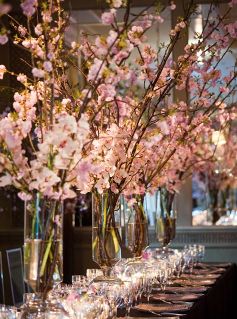 I like the height of the cherry blossom displays Cherry Blossom Wedding Decor, Cherry Blossom Centerpiece, Cherry Blossom Decor, Cherry Blossom Theme, Cherry Blossom Wedding, Wedding Table Flowers, Summer Wedding Colors, Table Flowers, Trendy Wedding