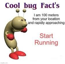 Cool Bug Facts, Angel Fangs, Messed Up Memes, Bug Facts, Response Memes, Cool Bugs, Weird Images, Silly Things, Text Jokes