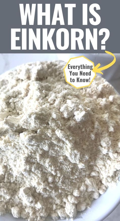 How To Store Flour, Einkorn Cookies, Crunchy Life, Einkorn Bread, Einkorn Recipes, Ground Recipes, Organic Baking, Functional Nutrition, Einkorn Flour