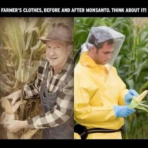 #organic #righttoknow #gmo #boycottgmos #nongmo #labelgmos #darkact #instafood #food #nogmo #nomoregmos #boycottmonsanto #nature #ganado #campo #crops #naturaleza #cattle #vidadecampo #campesinos #cultivos #caracara #mauviel #tangelo #gay #citrus #season #ca #preserving #tangerine Farmer Outfit, Health Club, Truth Hurts, Farmer, Wake Up, Corn, Things To Think About, History, Health