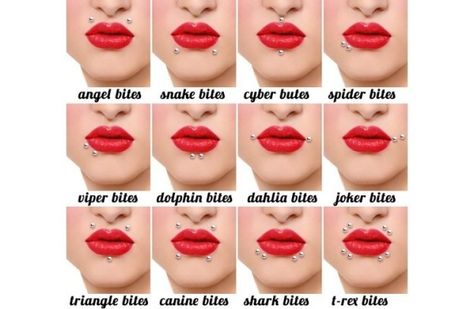 Thinking of a lip piercing? Narrow. It. Down. | 14 Super Helpful Piercing Charts That'll Simplify Your Next Parlor Visit Piercings Corps, Lower Lip Piercing, Spiderbite Piercings, Piercing Face, Piercing Bouche, Mouth Piercings, Lip Types, Double Tongue Piercing, Ear Piercings Chart