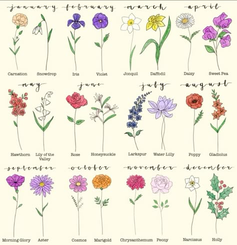 January And September Flower Tattoo, Birthmonth Flower Tattoos September, October Birthday Flower Tattoo, Virgo Flower Tattoo September, January And September Flower Tattoo Together, October Flower, Tattoos For Baby Boy, September Birth Flower, October Flowers