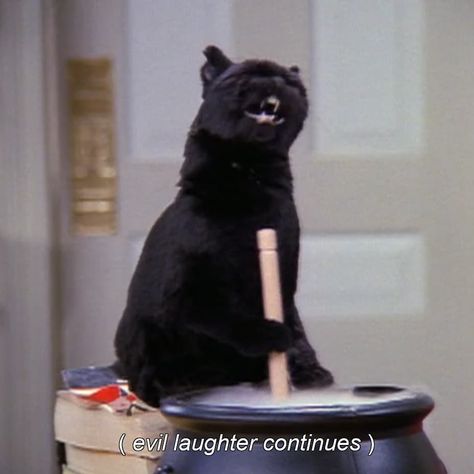 3,890 Likes, 27 Comments - Black Cat Style (@blackcatstyleresale) on Instagram: “spooky szn 👻🎃⠀ .⠀ .⠀ .⠀ .⠀ .⠀ #salem #salemthecat #sabrinatheteenagewitch #mood #instamood…” Sabrina Cat, Wicked Funny, Salem Saberhagen, Salem Cat, Goth Memes, Gatos Cool, Dragon Heart, Evil Witch, Sabrina Spellman