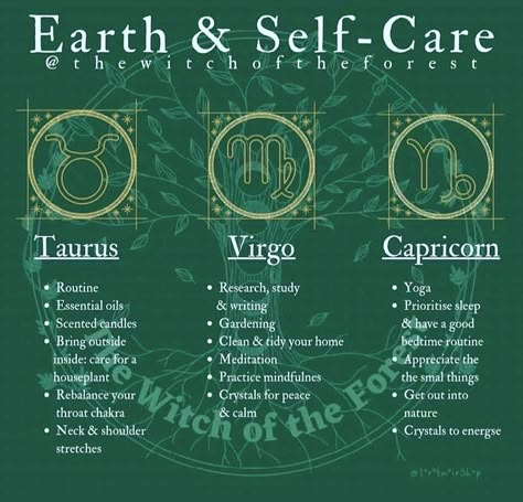 Earth Sign Aesthetic Capricorn, Earth Sign Aesthetic, Zodiac Signs Elements, Energy Psychology, Sign Aesthetic, Astrology Meaning, Virgo Sun, Aquarius Moon, Taurus Zodiac Facts